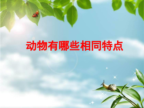 教科版科学《动物有哪些相同特点》名师推荐1