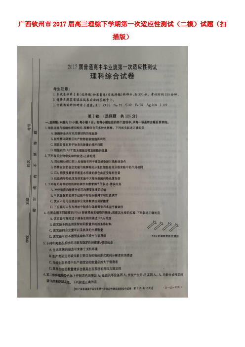 广西钦州市高三理综下学期第一次适应性测试(二模)试题(扫描版)