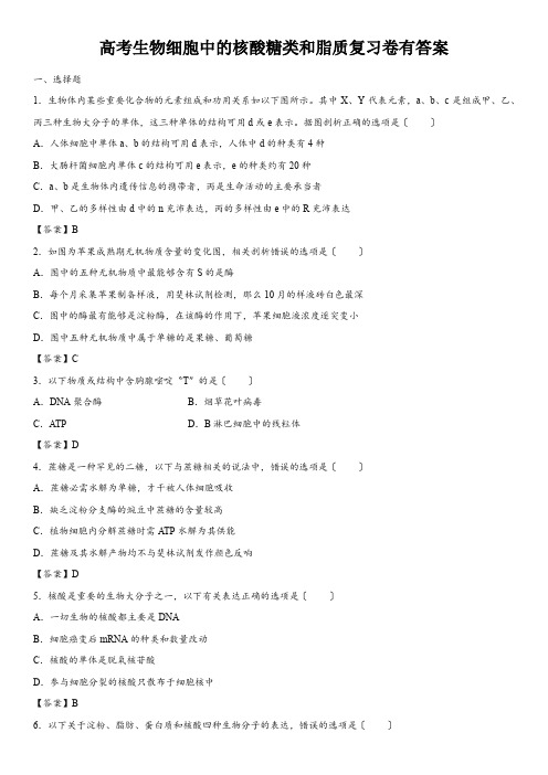 高考生物细胞中的核酸糖类和脂质复习卷有答案