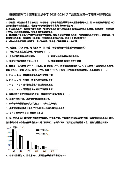 安徽省宿州市十三所省重点中学2023-2024学年高三生物第一学期期末联考试题含解析