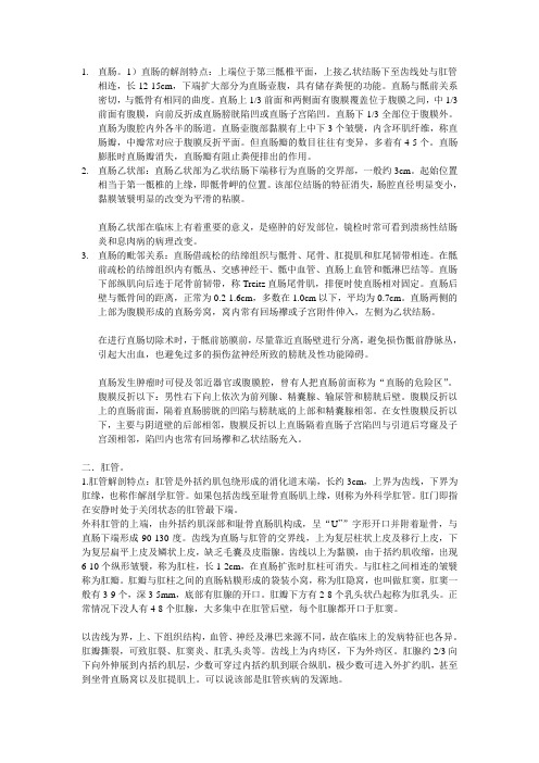直肠