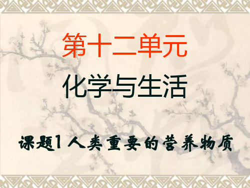 人教版九年级下册化学第十二单元 课题1 人类重要的营养物质(共19张PPT)