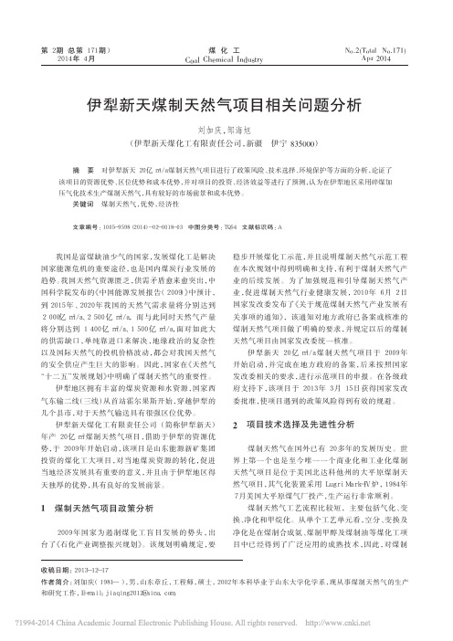 伊犁新天煤制天然气项目相关问题分析_刘加庆邹海旭