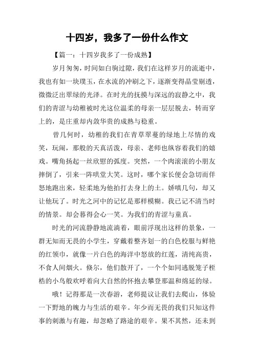 十四岁,我多了一份什么作文