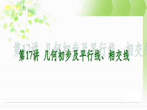 中考复习第一轮课件几何初步及平行线、相交线