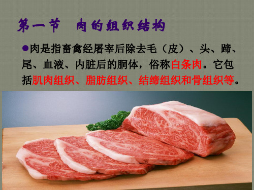 肉的组成及特性