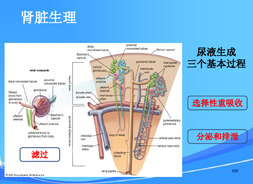 CRRT原理与治疗剂量计算-协和医院