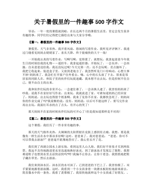 关于暑假里的一件趣事500字作文