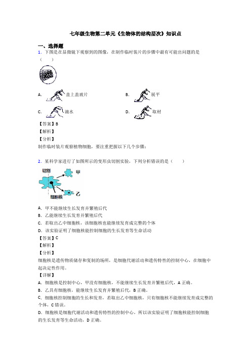 七年级生物第二单元《生物体的结构层次》知识点