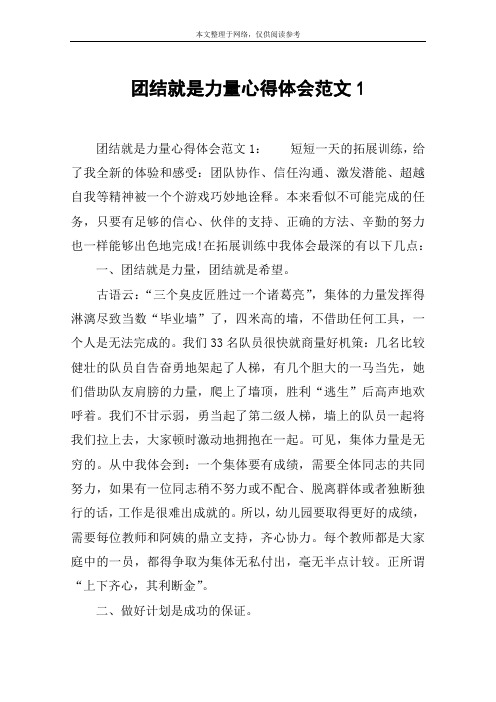 团结就是力量心得体会范文1