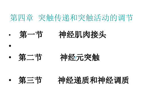 4人体及动物生理学_第四章__突触传递和突触活动的调节