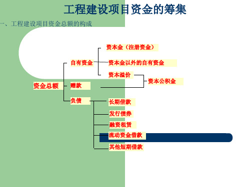 工程建设项目资金筹措.