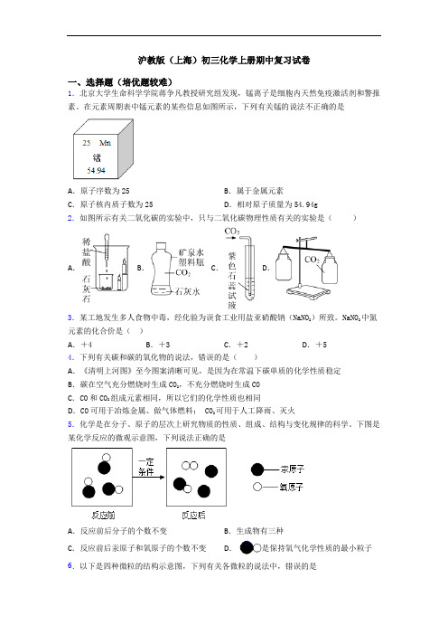 沪教版(上海)初三化学上册期中复习试卷