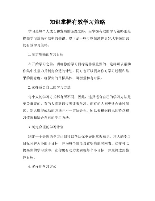 知识掌握有效学习策略