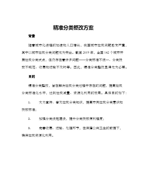 精准分类整改方案