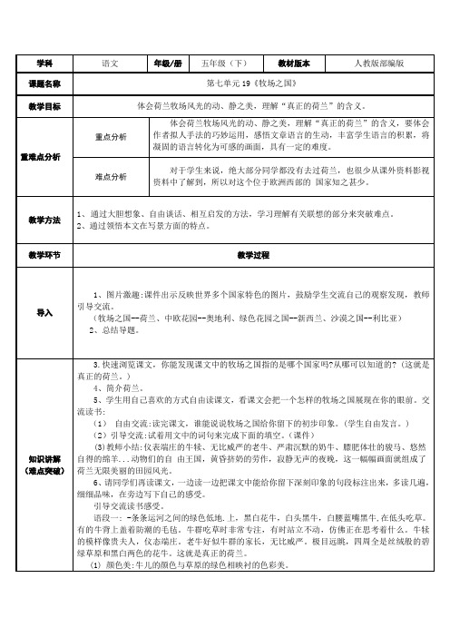 五年级语文下册教案-19 牧场之国2-部编版