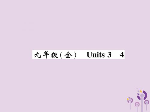 中考英语总复习第一篇教材知识梳理篇九全Units3_4(精讲)课件