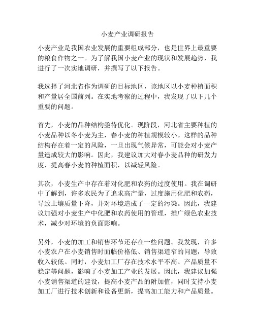 小麦产业调研报告