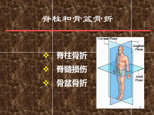 脊柱、骨盆骨折PPT课件