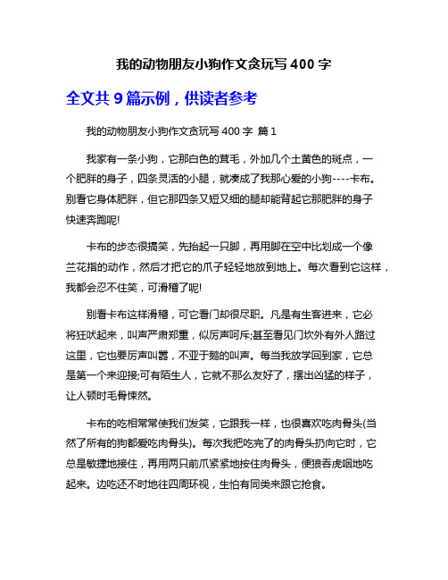 我的动物朋友小狗作文贪玩写400字