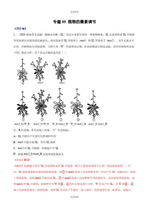 2023年植物的激素调节高考生物真题分项(全国通用)(含答案)