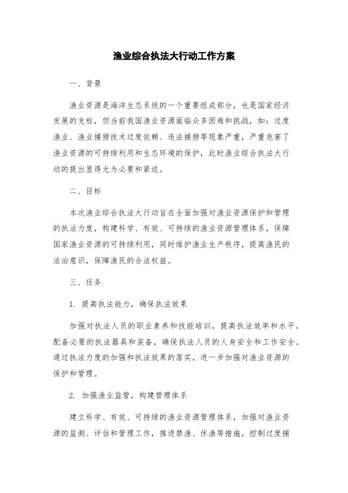 渔业综合执法大行动工作方案