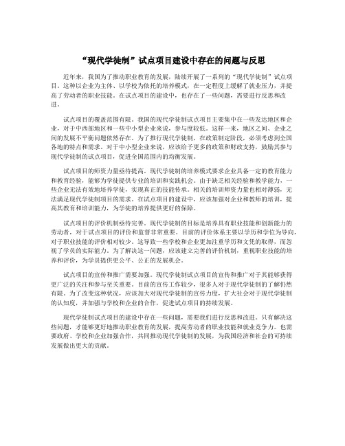 “现代学徒制”试点项目建设中存在的问题与反思