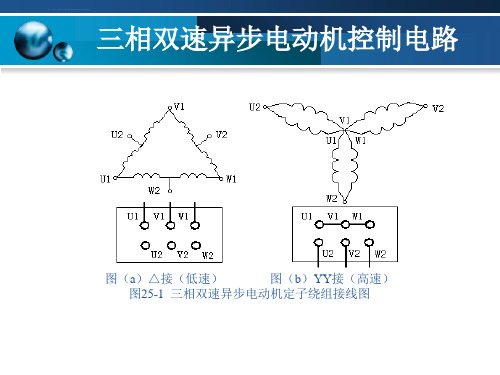 双速异步电机简易控制电路ppt课件