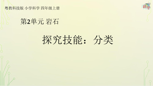 四年级上册《探究技能 分类》教学课件