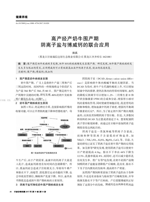 高产经产奶牛围产期阴离子盐与博威钙的联合应用