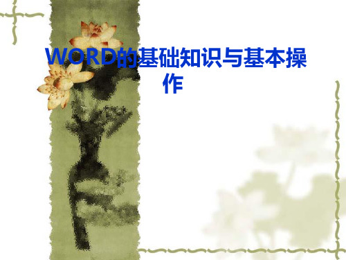 WORD的基础知识