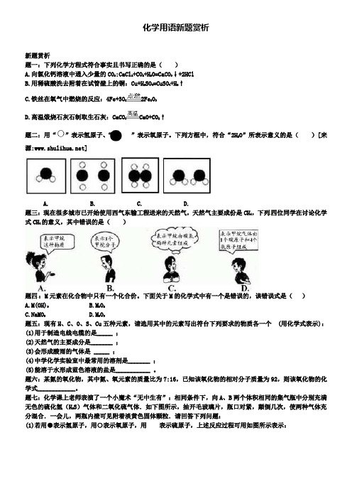 中考化学第二轮复习：新题赏析课后训练化学用语新题赏析