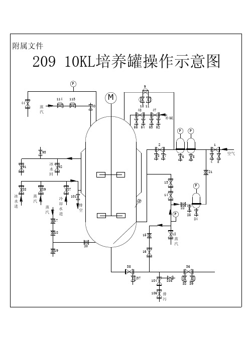 发酵罐cad图纸word文件