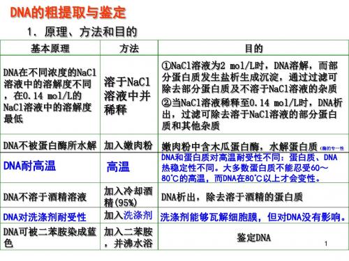 DNA的粗提取和鉴定