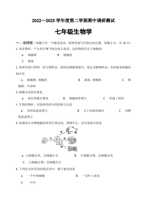 江苏省淮安市淮安区2022-2023学年七年级下学期期中调研测试生物试卷