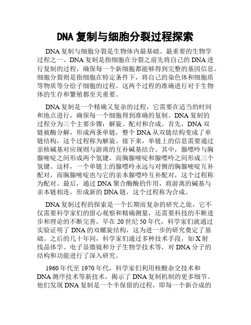 DNA复制与细胞分裂过程探索