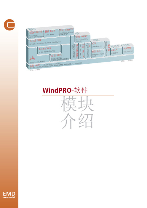 WindPRO-软件