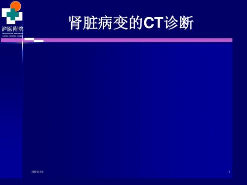 肾脏病变ct诊断ppt课件