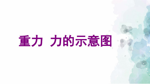 苏科版-物理-八年级下册-课件8.2重力 力的示意图 (2)