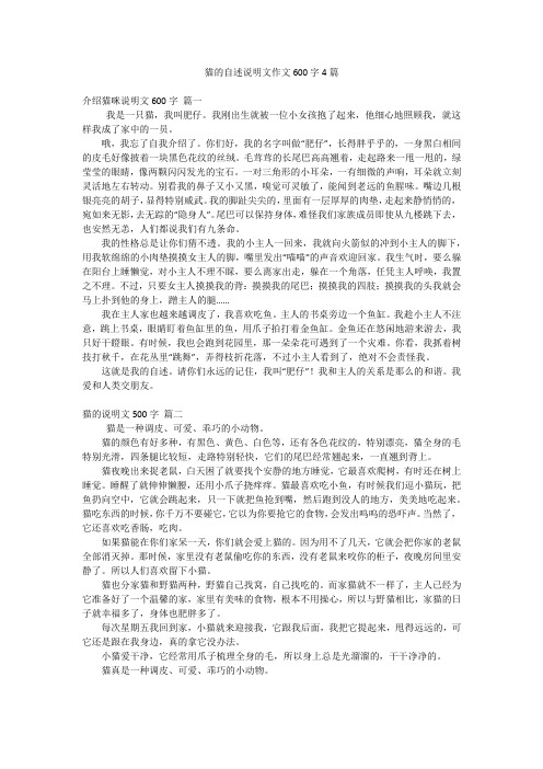 猫的自述说明文作文600字4篇