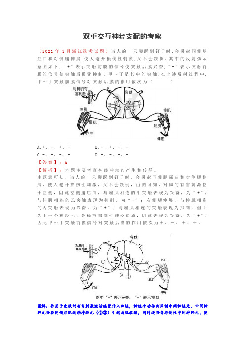 双重交互神经支配的考察