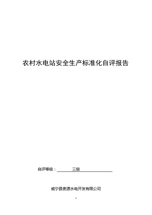 农村水电站安全生产标准化自评报告