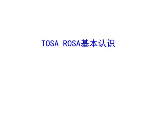 TOSAROSA基本认识