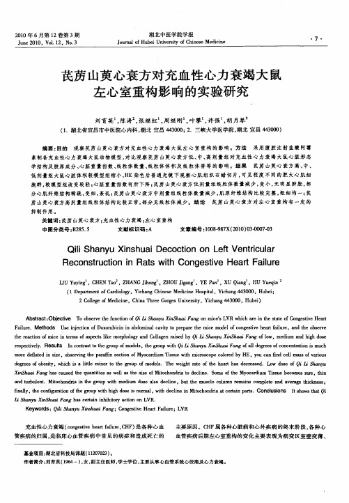 芪苈山萸心衰方对充血性心力衰竭大鼠左心室重构影响的实验研究