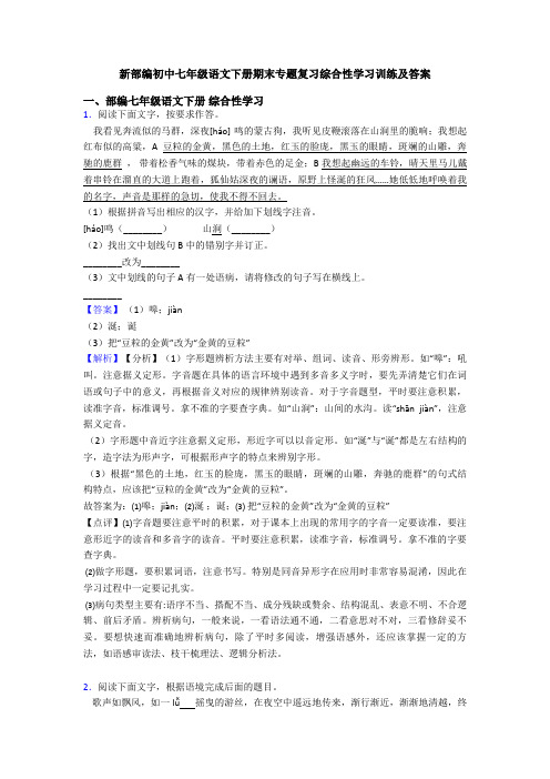 新部编初中七年级语文下册期末专题复习综合性学习训练及答案