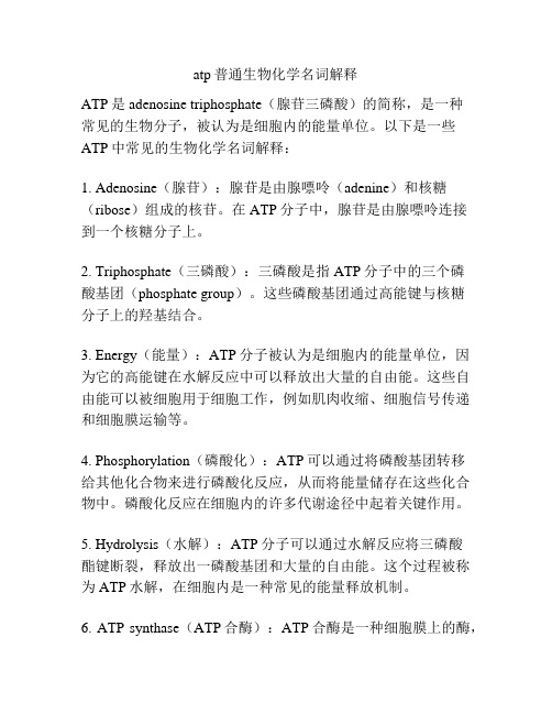 atp普通生物化学名词解释