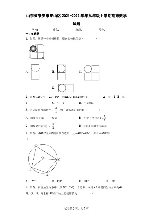 山东省泰安市泰山区2021-2022学年九年级上学期期末数学试题及答案