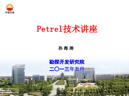 petrel培训