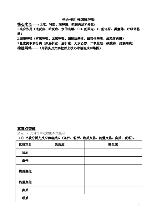 光合呼吸专题学案