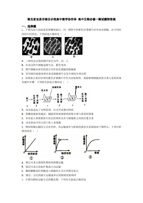 湖北省宜昌市部分示范高中教学协作体 高中生物必修一测试题附答案